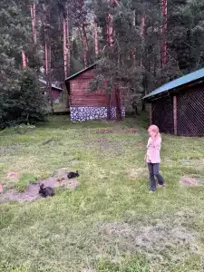 Семья - 37
