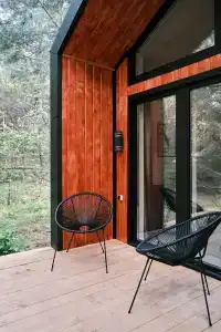 Сосны. Пространствие - 95