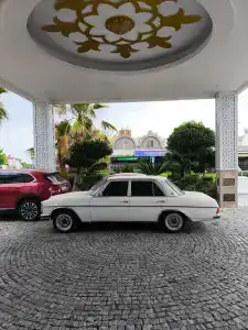 Grand Mir' Amor - 48