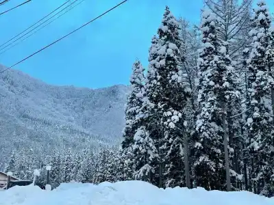 Hakuba Sun Valley - 37