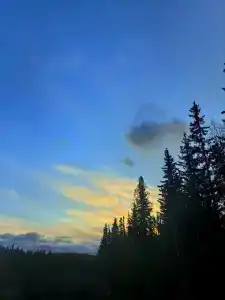 Гнездо - 45