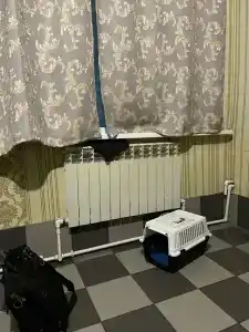 Адмирал - 25