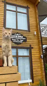 Азов Бриз - 10