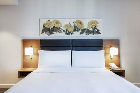 Hilton Garden Inn Tbilisi Chavchavadze - 45