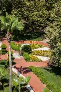 Lonicera World - Ultra All Inclusive - 11