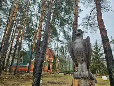 Лесная Быль - 49