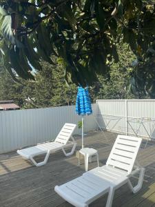 Алмаз - 16
