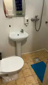 Лососинская - 63