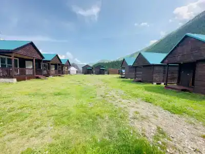Клевер - 13