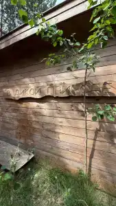 Таежная Рось - 39