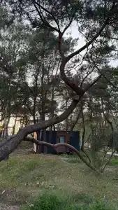 Балтийские Холмы - 11