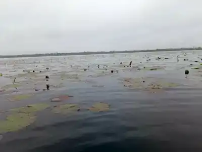 Слободское - 3