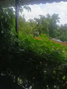 Место Встречи - 75