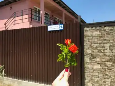 Фламинго - 10