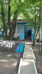 Эдельвейс - 18