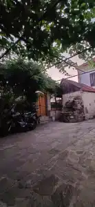 Aragvi - 24