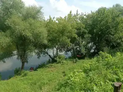 Сибарит - 39