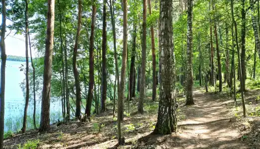 Дача на Истре - 9