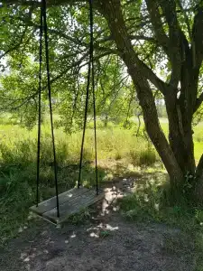 Мультиферма - 30