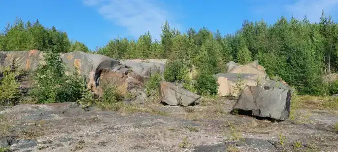 Нереис - 21