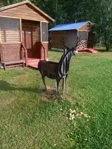 Золотые пески - 13