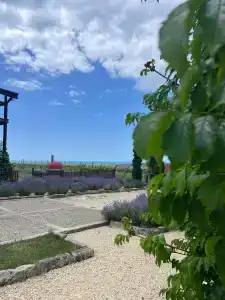 Фридом Веселовка - 97