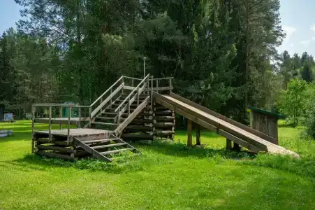 Сосновые шишки - 7