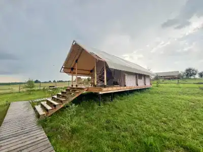 Птички - 0