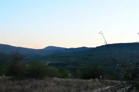 Тишина - 47