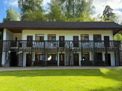 Гуси-Лебеди - 15