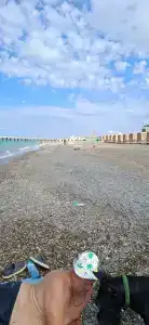 Роза Ветров - 4