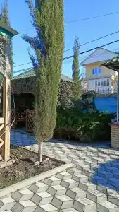 Галерея - 19