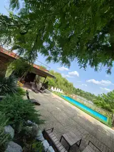 Рыбасик - 2