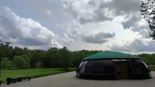 Алеся - 48