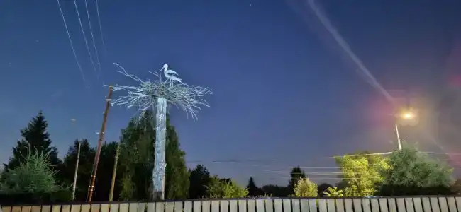 Белый Аист - 21
