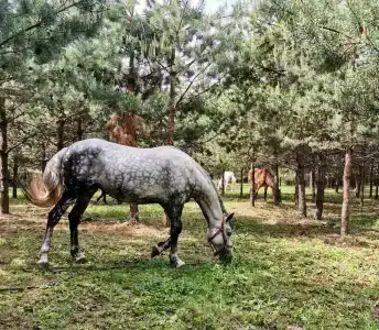 Круиз Вилладж - 37