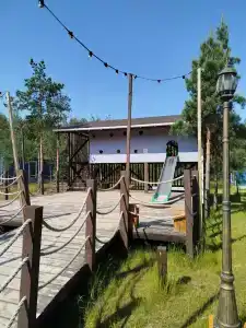 Лес - 36