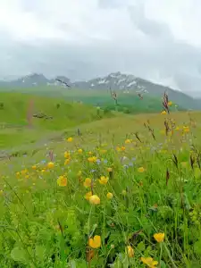 Счастливый лось - 3