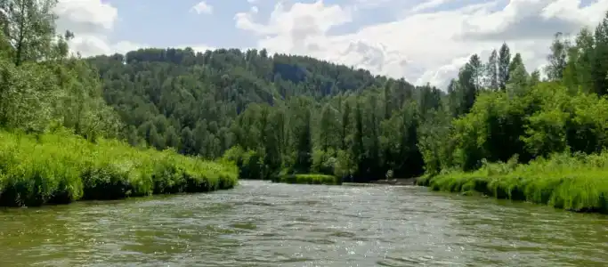 Кинтереп - 3