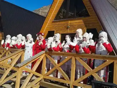 Флайчегем - 21