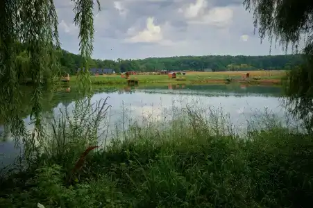 Клевер Парк - 27
