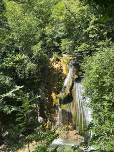 Джур Джур - 34