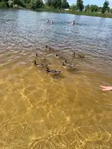 4 Сезона - Нефтяник - 6