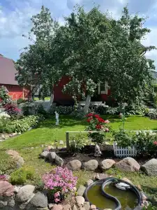 Волшебный Сад - 84