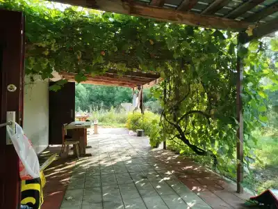 База отдыха у Кузмича - 0