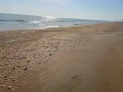 Золотой берег - 39