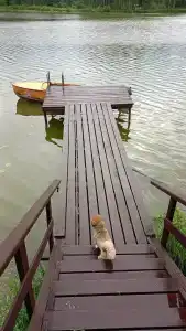 Ильинка Вилладж - 13