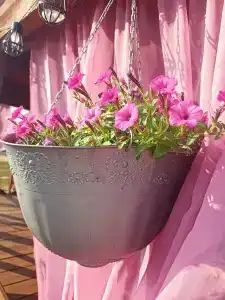 Фламинго - 36