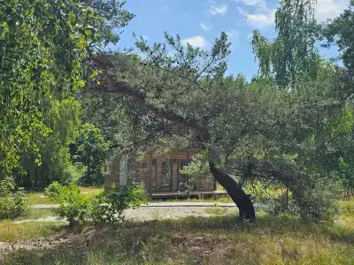 Балтийские Холмы - 50