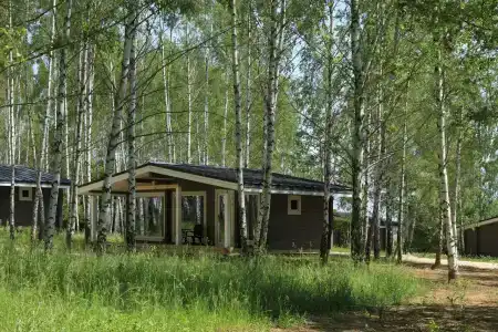 Norke Есенинская Русь - 19